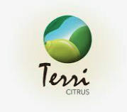 Logo de cliente Petro Global #17